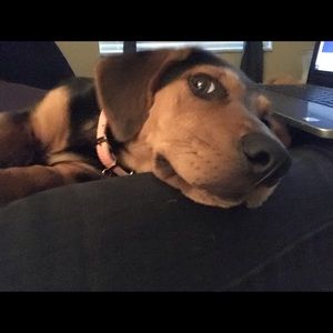 Meet your Posher, Melisa